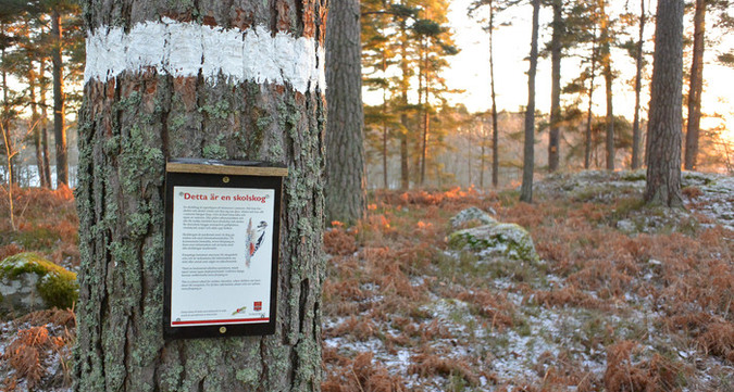 Under 2017 märktes 7 stycken skolskogar upp i Finspångs tätort. Gränsmarkeringar med vitt. Ett antal informationsskyltar och holkar sattes upp. LONA-projekt.